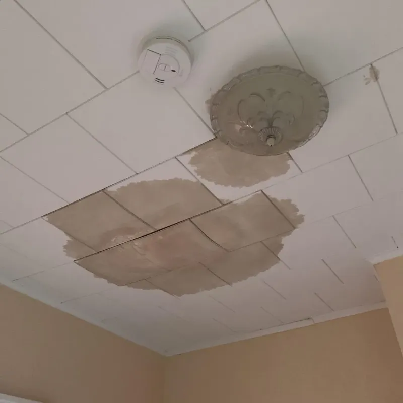 Ceiling Water Damage Repair in Munhall, PA