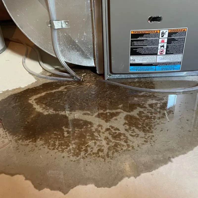 Pipe Burst and Leak Restoration in Munhall, PA