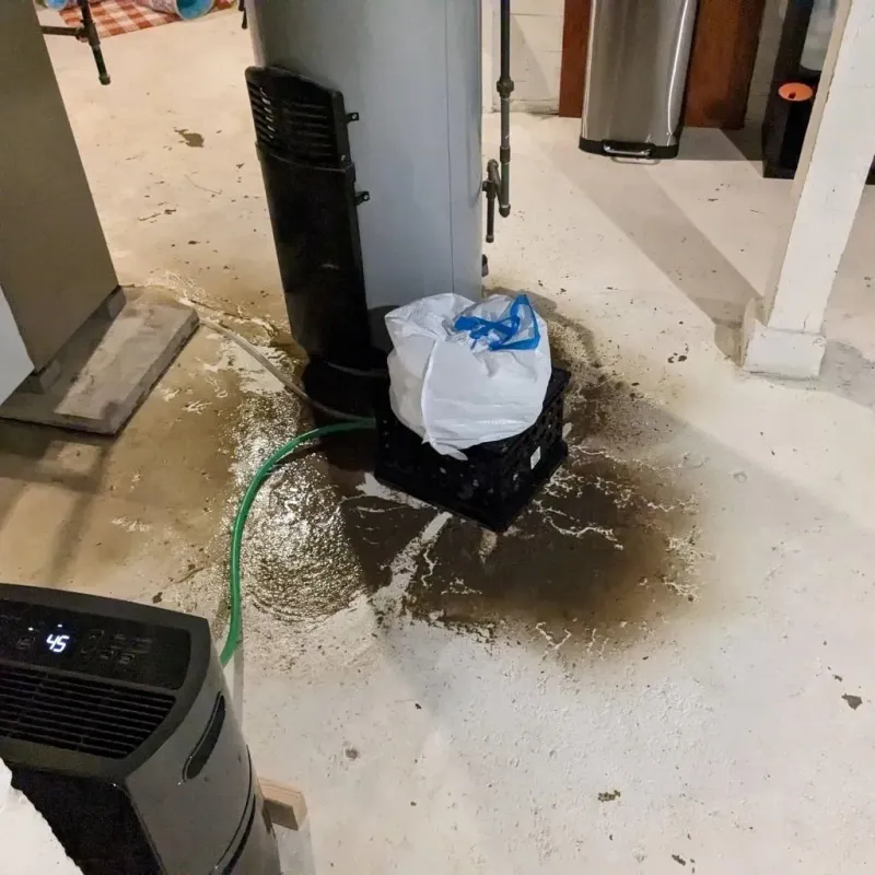 Sewage Backup Cleanup Service in Munhall, PA